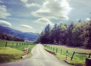 Cades Cove by Morgan Foy