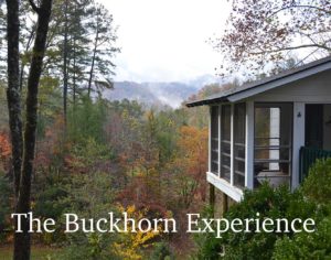 buckhorn-experience-book-cover_web