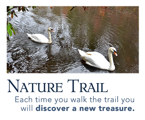 Nature Trail