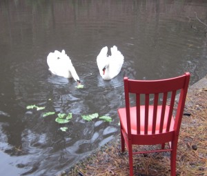 The Red Chair Feeds the Swans 010