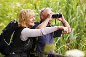 Birdwatching Adults