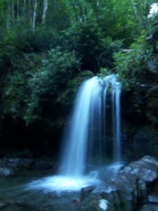 Hikes to Grotto Falls are beautiful, especially in the morning.