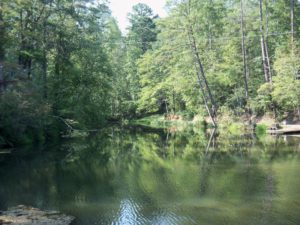 The Buckhorn Inn Nature Trail features a spring-fed pond.