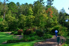 Guests love strolling the Buckhorn Inn gardens.