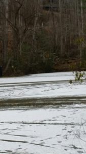 The pond supported about a dozen men and equipment.