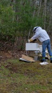 Honey bee hives add to our landscape at Buckhorn Inn.