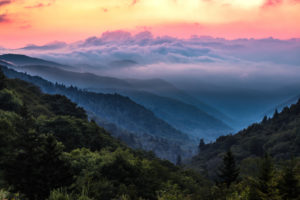 Newfound Gap has spectacular sights.