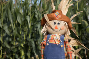 Scarecrows are the perfect symbol of the harvest season.