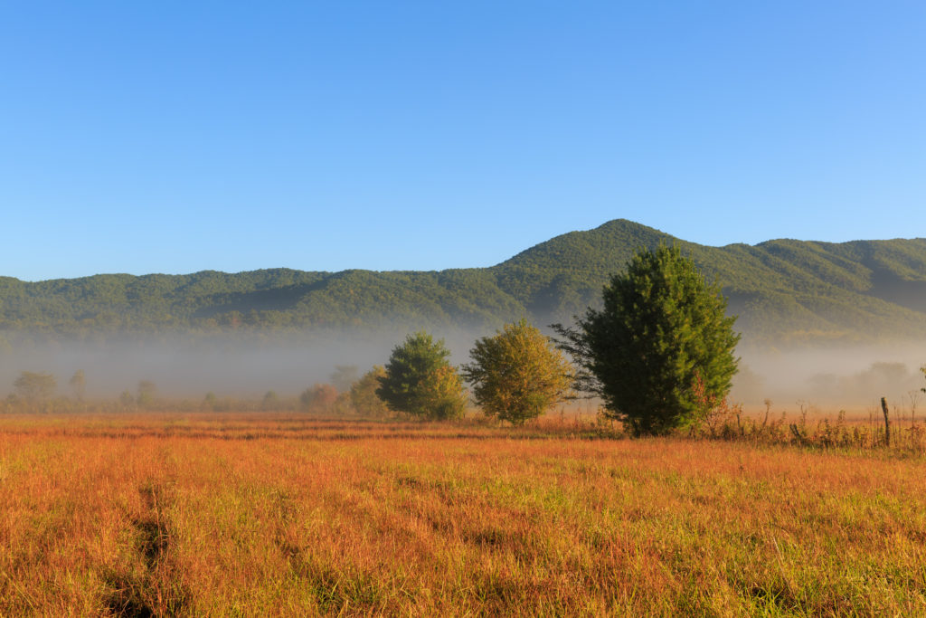 Cades Cove is a beautiful setting for the Loop Lope.